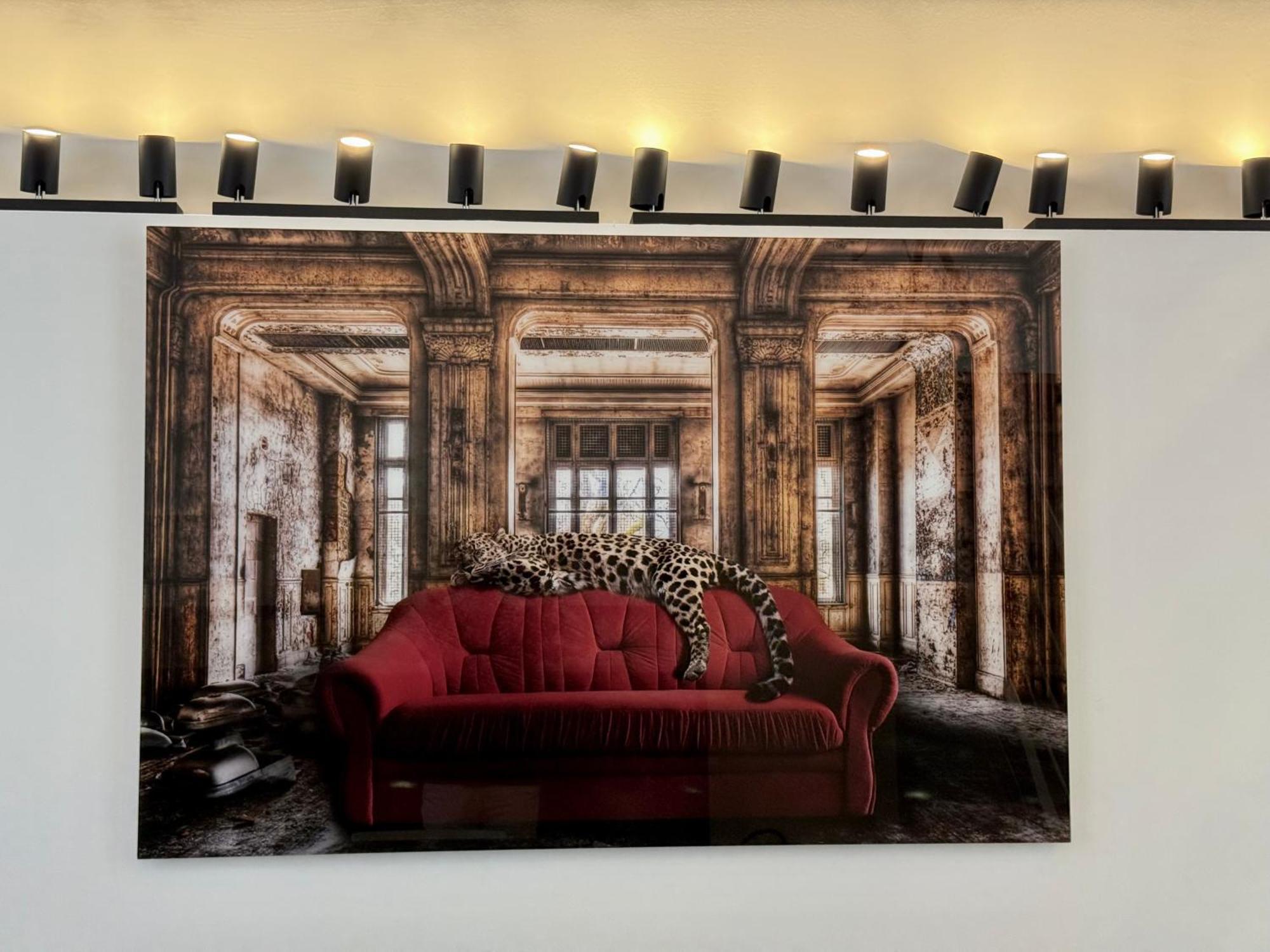 Luxury House In Pietrasanta 120 Mq